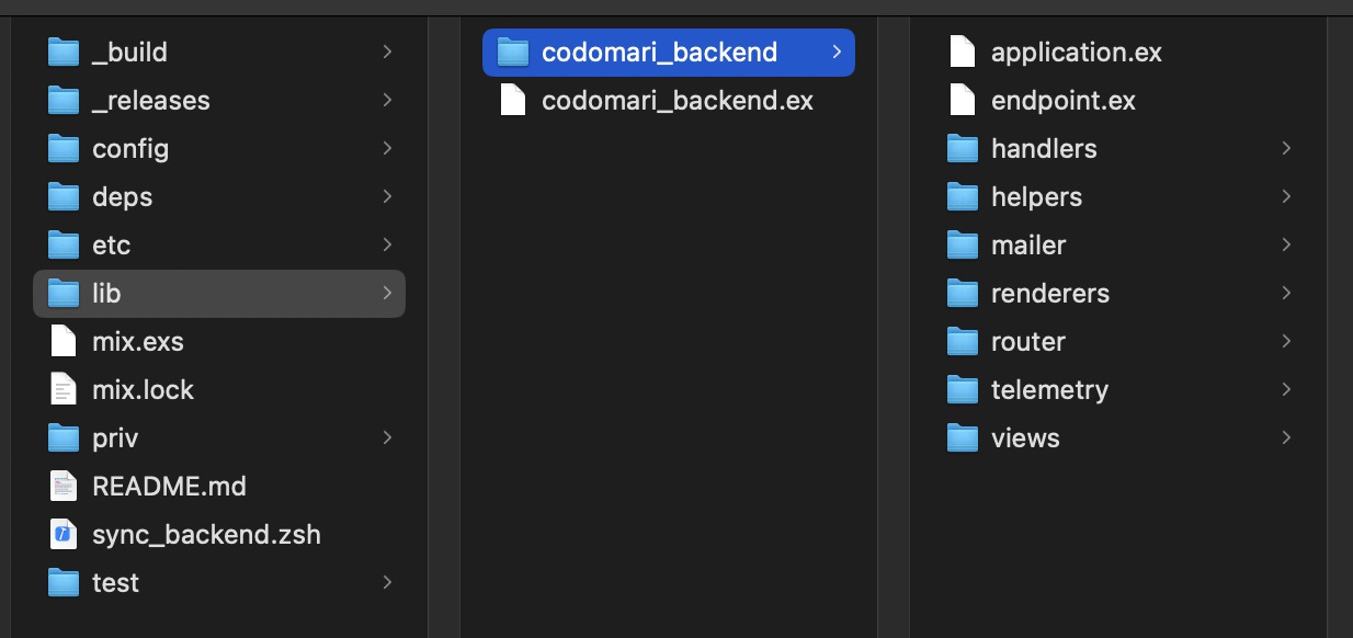 phoenix app struct modified